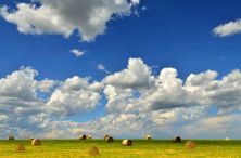 round bales.jpg